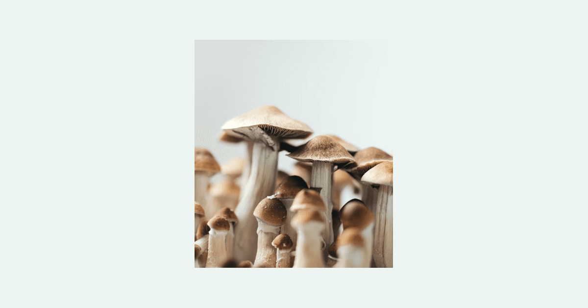 banner image for: Psylutions Founder Stresses importance of licensed regulated producers in the wake of findings of Mislabeling in Psychedelic Edibles